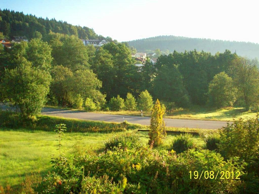 Zum Fliegenden Hollander Guest House Zwiesel Luaran gambar